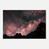 Milky Way Over The Forest