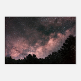 Milky Way Over The Forest