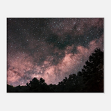 Milky Way Over The Forest
