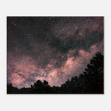 Milky Way Over The Forest