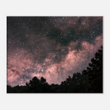 Milky Way Over The Forest
