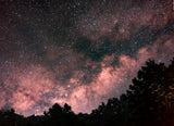 Milky Way Over The Forest