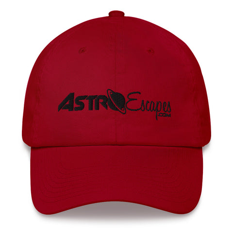 Embroidered Logo Hat (8 Colors)